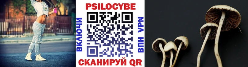 Галлюциногенные грибы MAGIC MUSHROOMS  Челябинск 